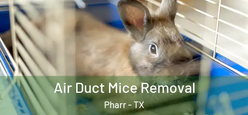  Air Duct Mice Removal Pharr - TX