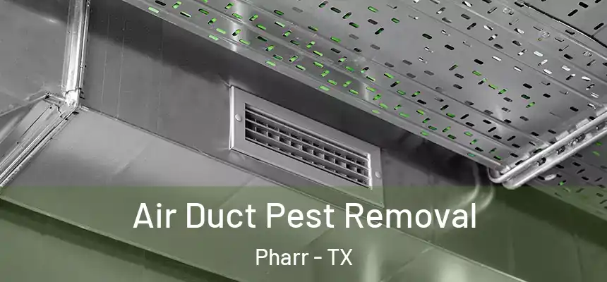 Air Duct Pest Removal Pharr - TX