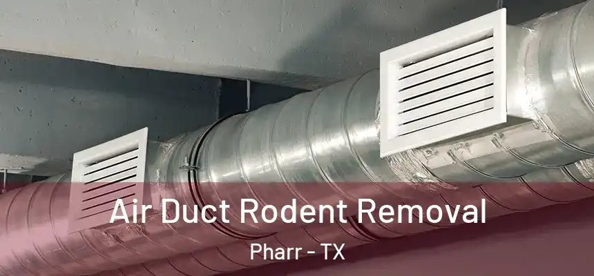Air Duct Rodent Removal Pharr - TX