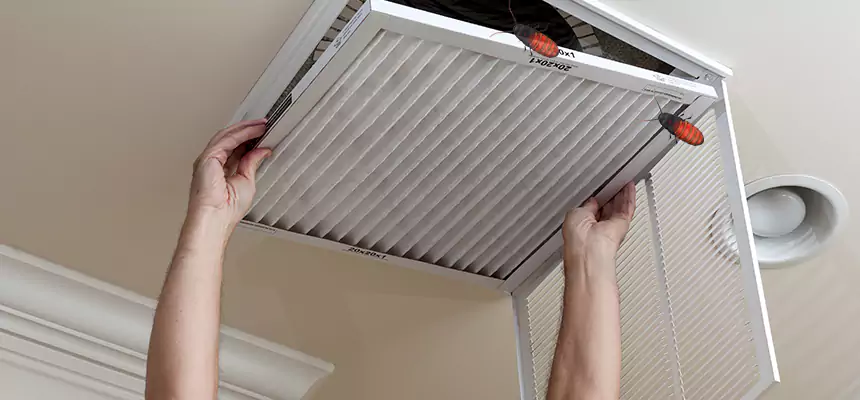Preventive Cockroach-Proofing for Ducts in Pharr