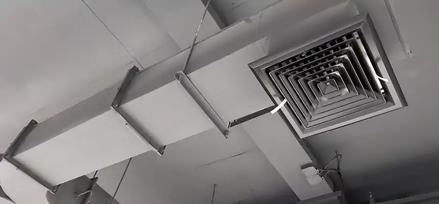 Restorative Allergy Relief Vent Cleaning – Coil, Blower & Housing Detail in Pharr