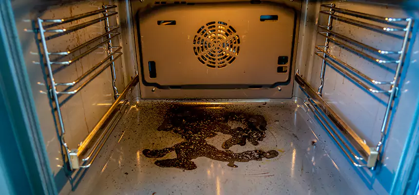 Our Dryer Vent Mold Cleaning Services in Pharr, TX