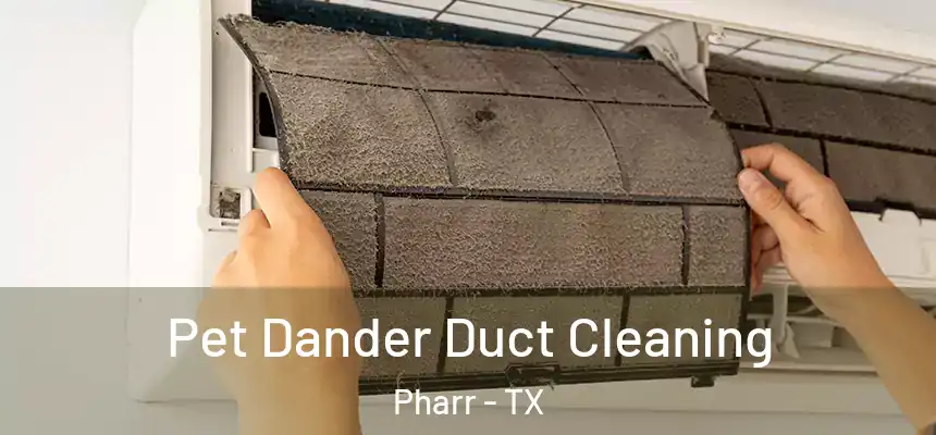 Pet Dander Duct Cleaning Pharr - TX