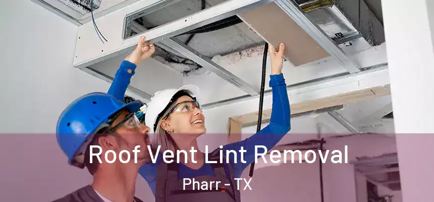 Roof Vent Lint Removal Pharr - TX