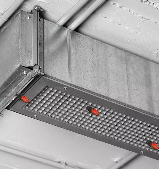 About Air Duct Cockroach Removal in Pharr, TX