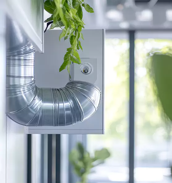 Professional Eco-Friendly Duct Cleaning Services in Pharr, TX