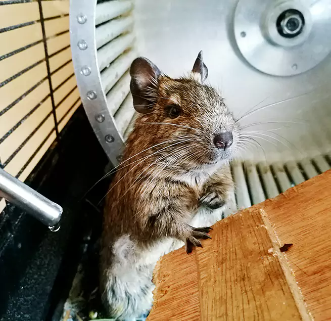 Why Homeowners & Businesses Trust Us Pharr, TX