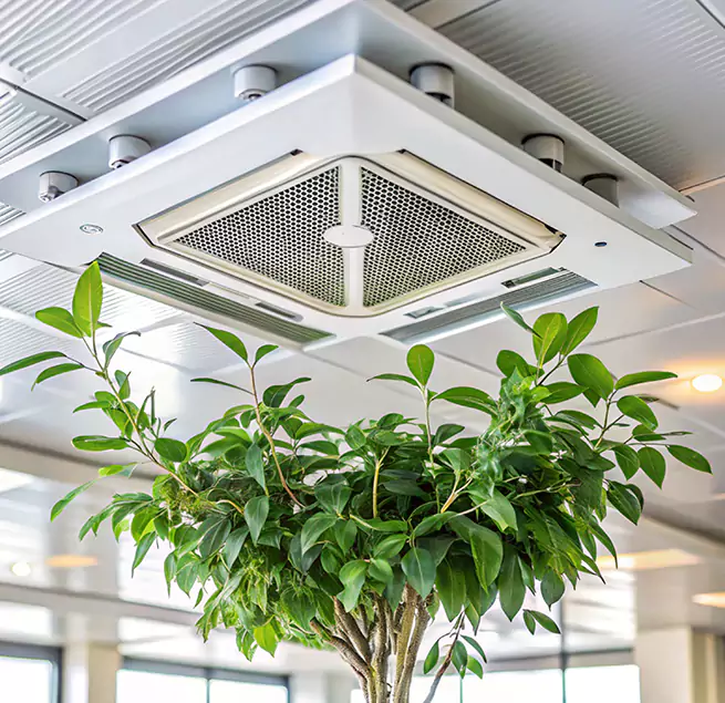 Why Homeowners & Businesses Trust Us in Pharr, TX?