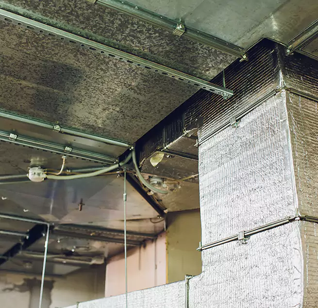 Why Homeowners & Businesses Trust Us in Pharr, TX?