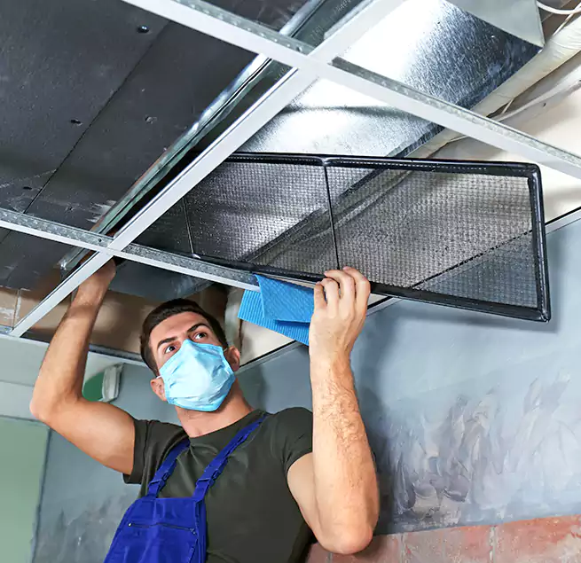 Why Homeowners Businesses Trust Us in Pharr, TX